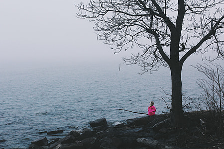 person wearing pink jacket sitting beside bare tree overlooking body of water during daytime thumbnail