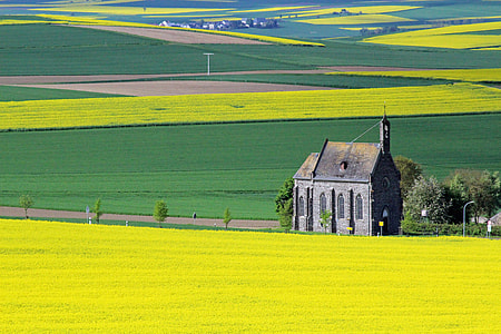 black concrete church on grass field thumbnail