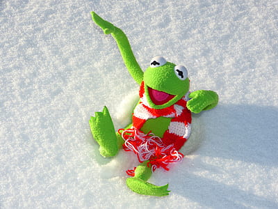 green tree frog plush toy on snow thumbnail