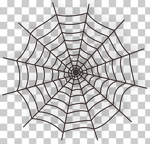 spider web halloween large spider web black spider web web clipart
