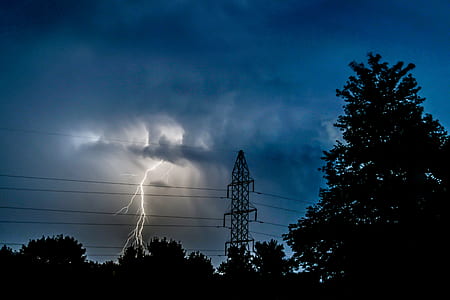 fork lightning struck on trees thumbnail