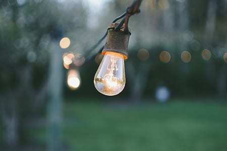 focused photography of lighted light bulb thumbnail