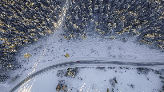 bird's eye view of forest near road thumbnail