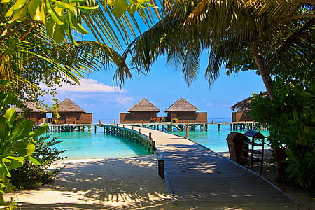 nipa hut near boat dock on body of water thumbnail