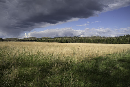 Storm clouds over the landscape with trees at Quincy Bluff, Wisconsin thumbnail