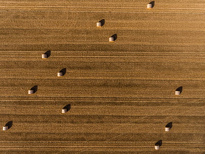 aerial view of field thumbnail