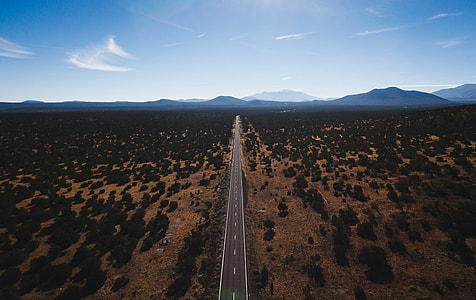 aerial photography of road surrounded by trees thumbnail