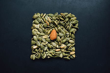 brown nut on top of dragon seeds thumbnail