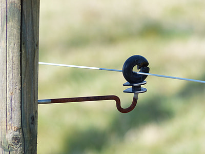Ring Isolator, Insulator thumbnail