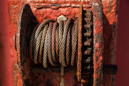 close up photo of brown coated cable thumbnail