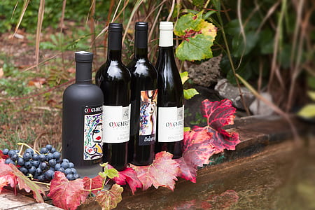 four wine bottles on panel beside purple grapes thumbnail