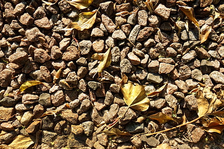 brown leaf on brown rock lot thumbnail