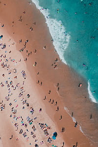 people swimming on beach thumbnail