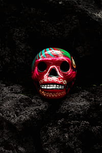 red skull decor on garden soil thumbnail