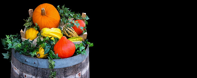 photography of variety of vegetables thumbnail