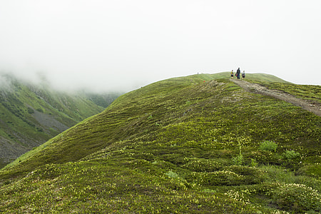 three person on top of mountain surrounded by fog during daytime thumbnail