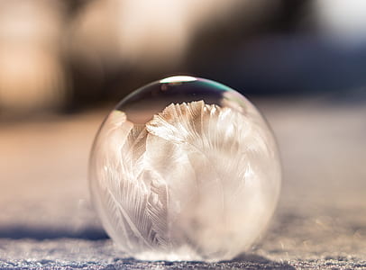 selective photo of feather snow globe thumbnail