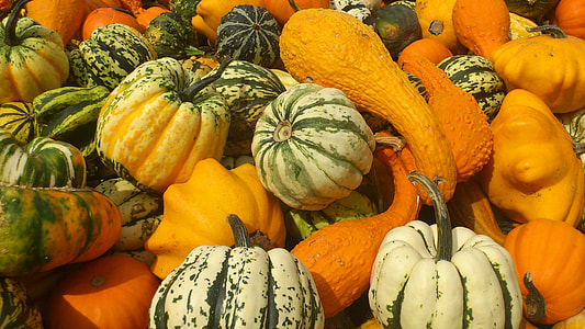 variety of vegetables thumbnail