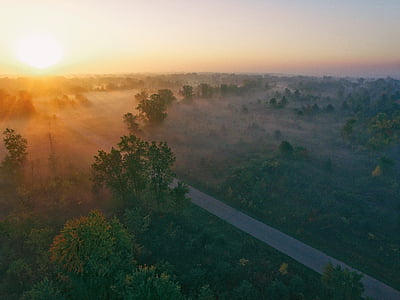 road surrounded by trees during sunset thumbnail