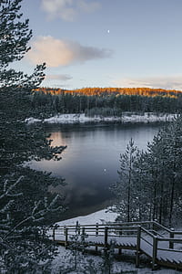 snowy brown wooden dock thumbnail