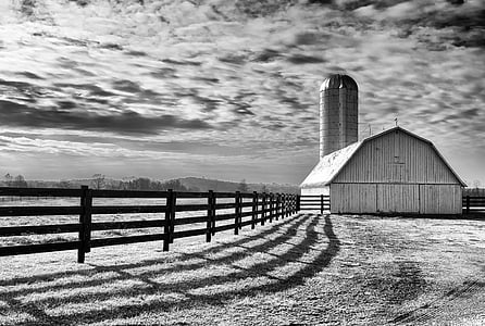 grayscale photo of barn under cloudy sky during daytime thumbnail