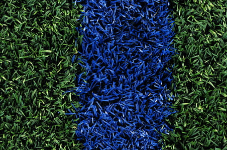 blue and green grass thumbnail