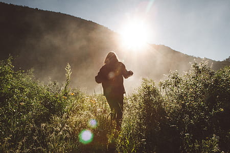 silhouette of person standing on green grass field thumbnail