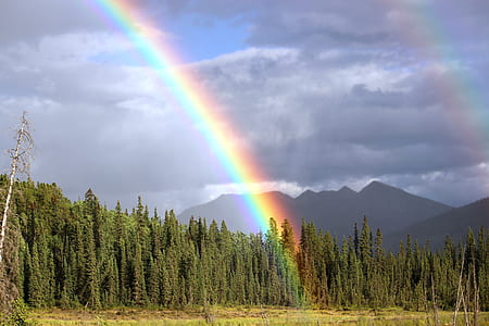 mountain with green trees and rainbow thumbnail