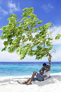 sea, nature, sky, sunny thumbnail