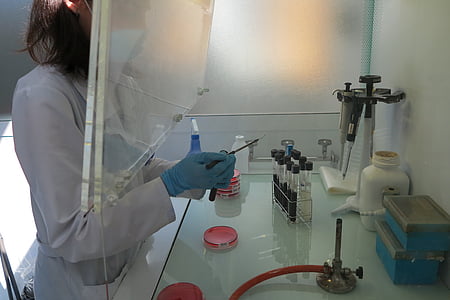 woman holding needle beside the table thumbnail