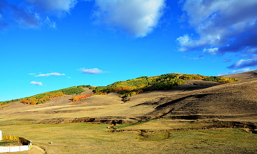 green grass field thumbnail