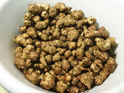 brown ginger in container thumbnail