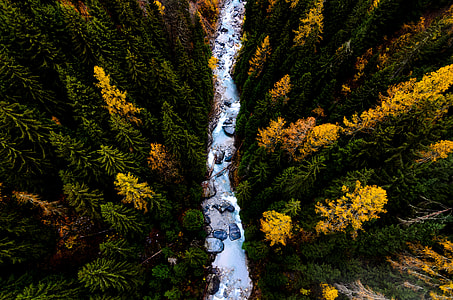 aerial photo of river between yellow and green leaf trees during daytime thumbnail