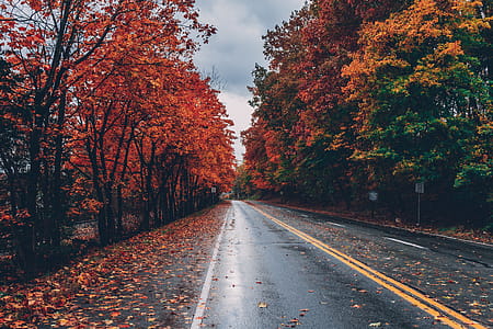 Wide Angle Photo Of Road thumbnail