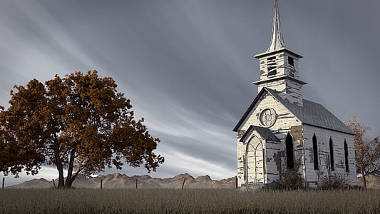 white wooden church near brown leafed tree thumbnail