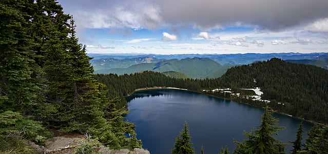 aerial photography of lake surrounded with trees thumbnail