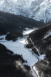 bird's eye photography of pine trees during winter season thumbnail