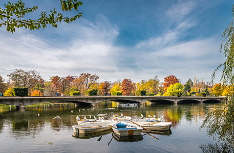 three white boats on body of water near bridge thumbnail