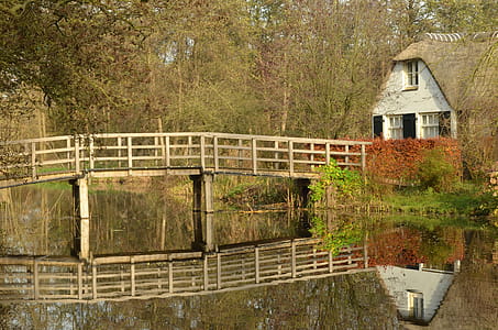 White Bridge over Body of Water Near House and Trees thumbnail
