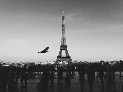 grayscale photo of crowd of people near Eiffel tower thumbnail
