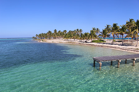grey wooden sea dock near green coconut trees during daytime thumbnail