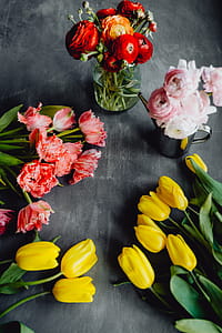 Colorful flowers on grey background with copy space thumbnail