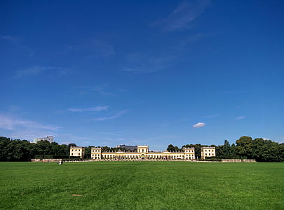 green grassfield thumbnail