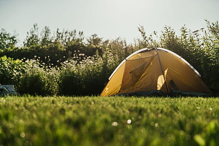 Tent At Fields Edge Photo thumbnail