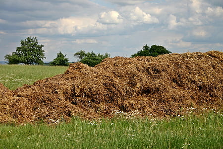 haystack on green grass field thumbnail