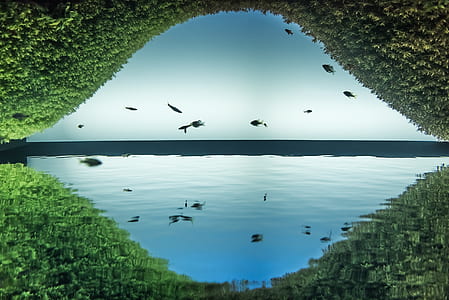 body of water thumbnail