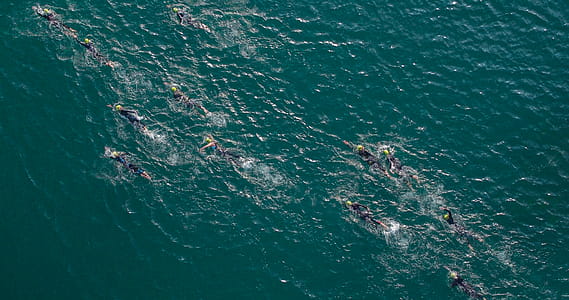 Group of People Swimming on Beach thumbnail