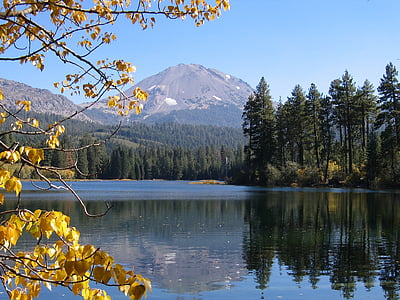 yellow leafed tree beside body of water during daytime thumbnail