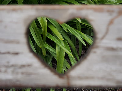 white heart-cutout wooden board thumbnail