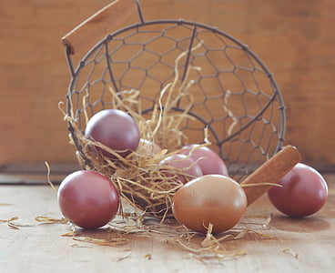 organic eggs beside basket thumbnail